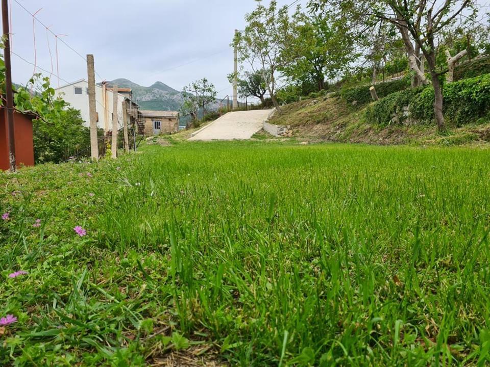 Holiday Home Vulezic Bar Luaran gambar